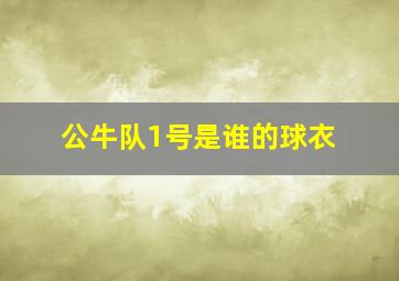 公牛队1号是谁的球衣