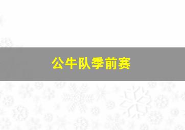 公牛队季前赛