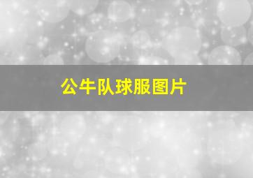 公牛队球服图片