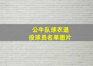 公牛队球衣退役球员名单图片