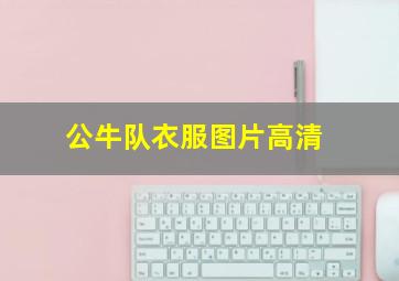 公牛队衣服图片高清