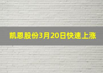 凯恩股份3月20日快速上涨