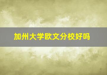加州大学欧文分校好吗