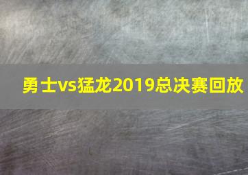勇士vs猛龙2019总决赛回放
