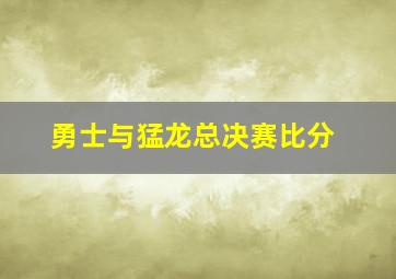 勇士与猛龙总决赛比分