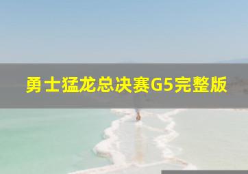 勇士猛龙总决赛G5完整版
