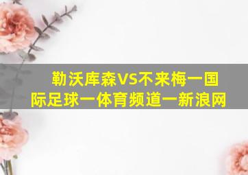 勒沃库森VS不来梅一国际足球一体育频道一新浪网