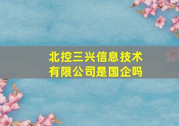 北控三兴信息技术有限公司是国企吗