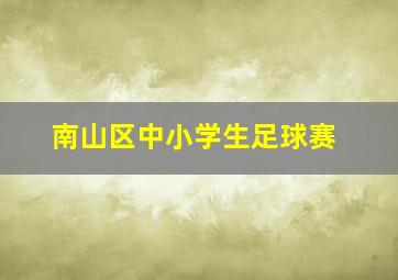 南山区中小学生足球赛