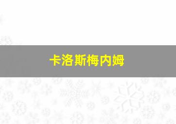 卡洛斯梅内姆