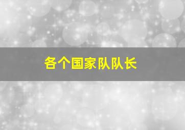 各个国家队队长