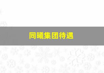 同曦集团待遇