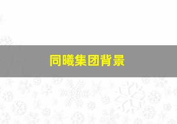 同曦集团背景