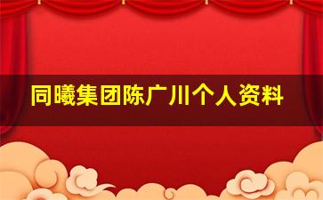 同曦集团陈广川个人资料