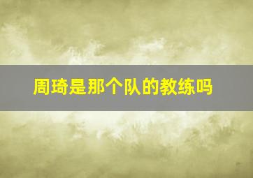周琦是那个队的教练吗