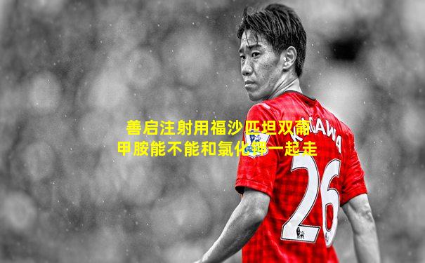 善启注射用福沙匹坦双葡甲胺能不能和氯化钾一起走