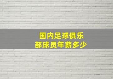 国内足球俱乐部球员年薪多少