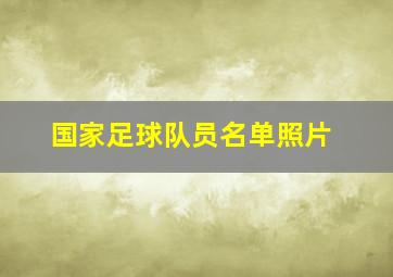 国家足球队员名单照片