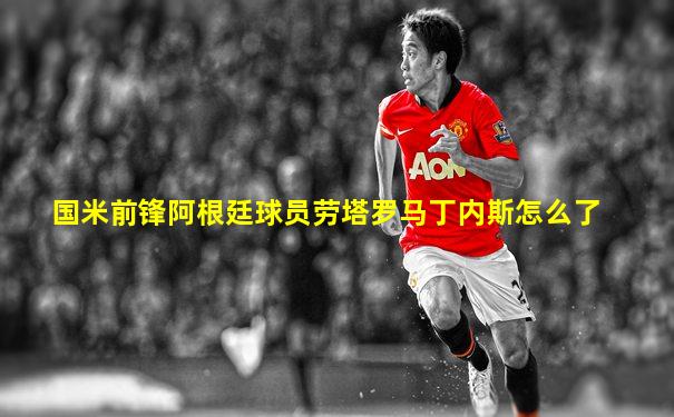 国米前锋阿根廷球员劳塔罗马丁内斯怎么了