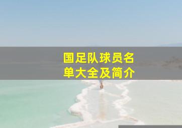 国足队球员名单大全及简介