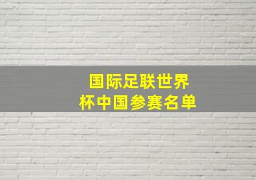 国际足联世界杯中国参赛名单