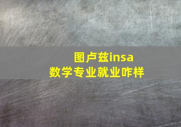 图卢兹insa数学专业就业咋样