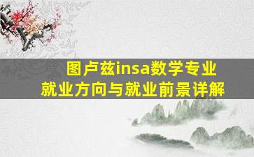 图卢兹insa数学专业就业方向与就业前景详解