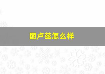 图卢兹怎么样