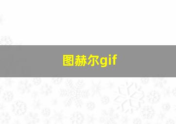 图赫尔gif