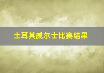 土耳其威尔士比赛结果