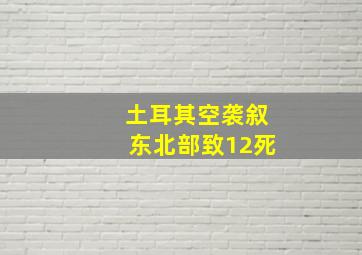 土耳其空袭叙东北部致12死