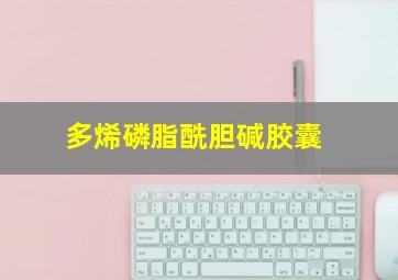 多烯磷脂酰胆碱胶囊