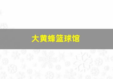 大黄蜂篮球馆