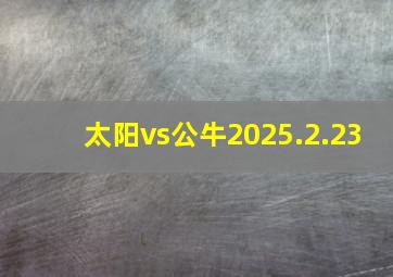 太阳vs公牛2025.2.23