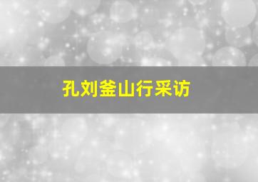 孔刘釜山行采访