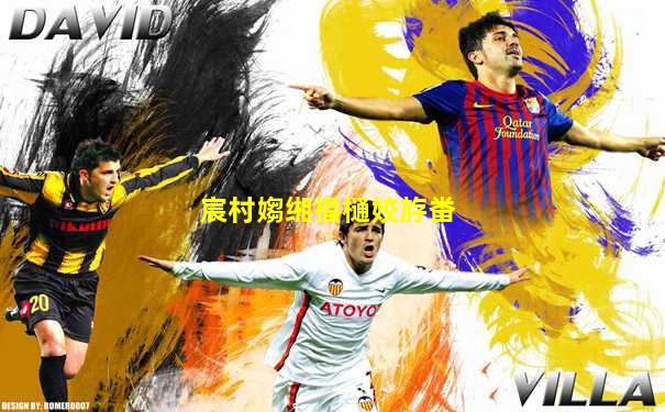 宸村媰缃楅樋姣斿畨