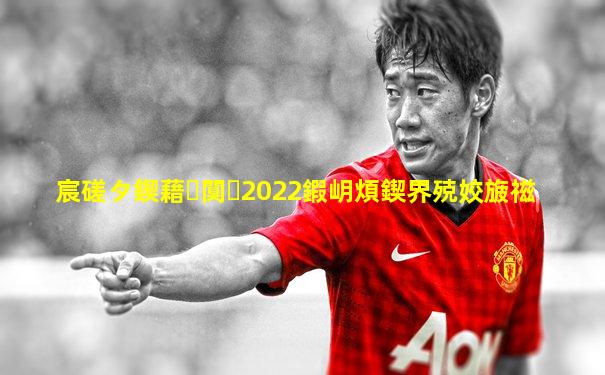 宸磋タ鍥藉闃�2022鍜岄煩鍥界殑姣旇禌