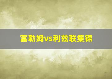 富勒姆vs利兹联集锦