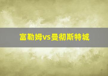 富勒姆vs曼彻斯特城