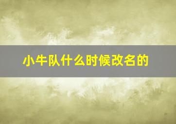 小牛队什么时候改名的