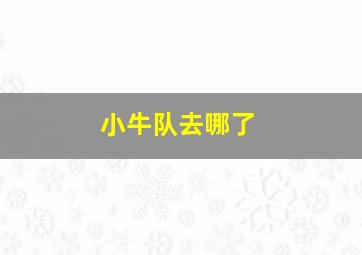 小牛队去哪了