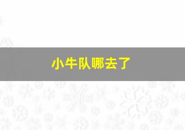 小牛队哪去了