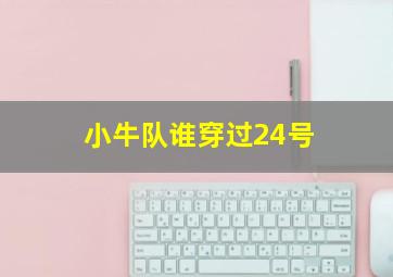小牛队谁穿过24号