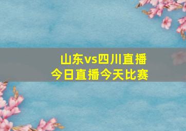 山东vs四川直播今日直播今天比赛
