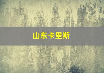 山东卡里斯