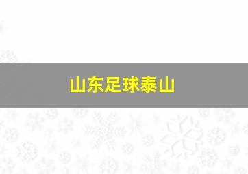 山东足球泰山