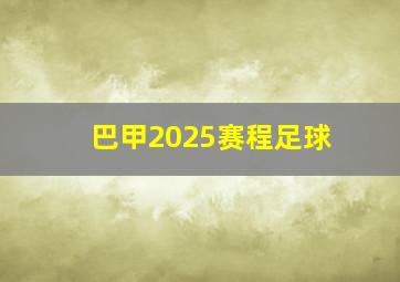 巴甲2025赛程足球