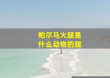 帕尔马火腿是什么动物的腿