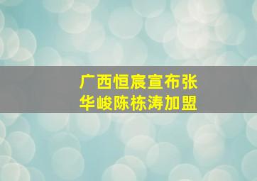 广西恒宸宣布张华峻陈栋涛加盟