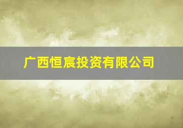 广西恒宸投资有限公司